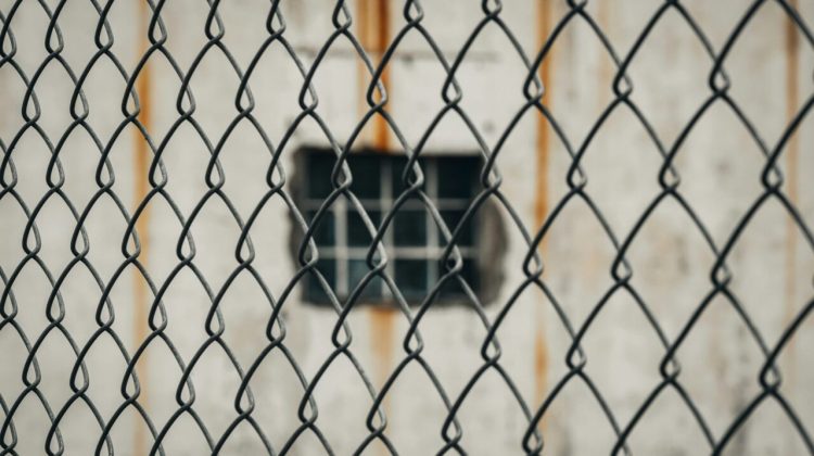 WhatsApp Image 2026-02-20 at 4.35.40 PM