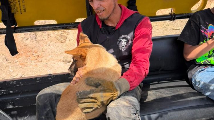 WhatsApp Image 2026-02-24 at 10.37.10 AM