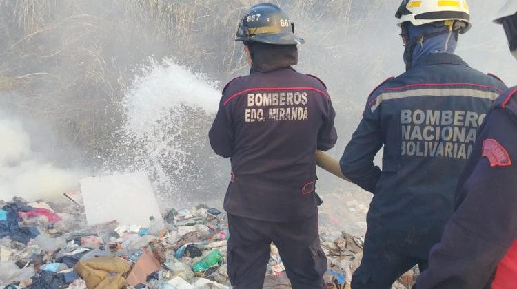 WhatsApp Image 2026-02-27 at 5.37.29 PM