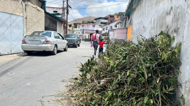 WhatsApp Image 2026-03-04 at 4.54.12 PM