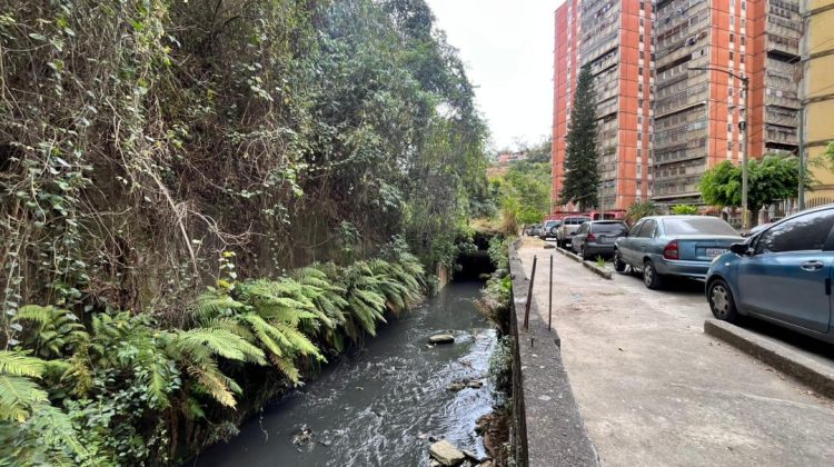 WhatsApp Image 2026-03-06 at 5.25.06 PM