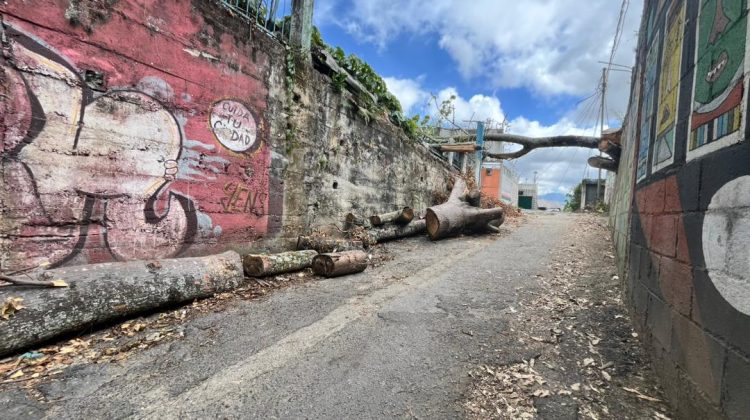 WhatsApp Image 2026-03-06 at 5.25.10 PM