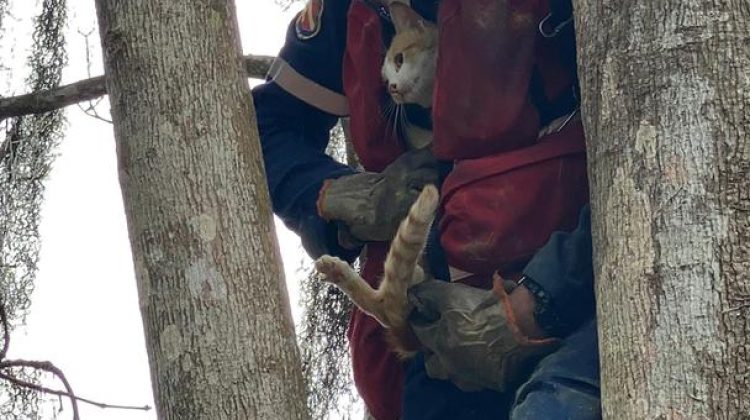 WhatsApp Image 2026-03-16 at 8.25.06 PM