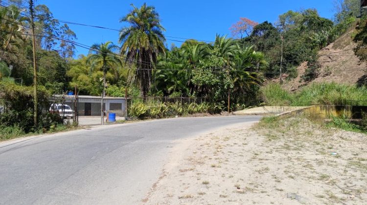 WhatsApp Image 2026-03-21 at 2.19.56 PM (1)