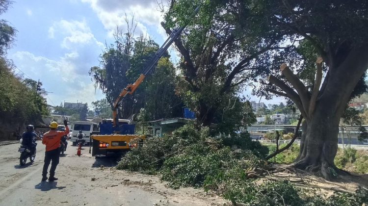 WhatsApp Image 2026-03-25 at 5.58.32 PM