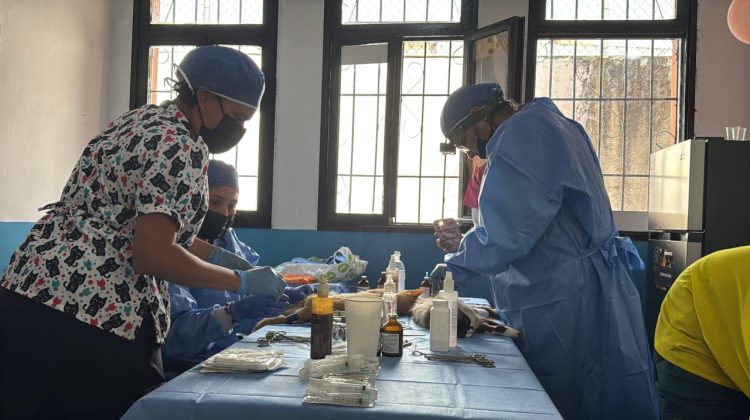 WhatsApp Image 2026-03-28 at 1.31.51 PM