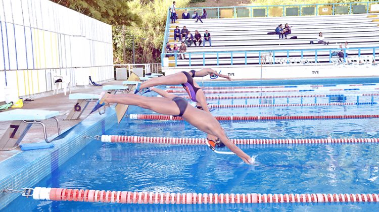 aa-natacion en los saliasw