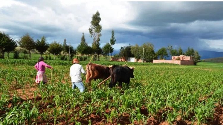 agricultores