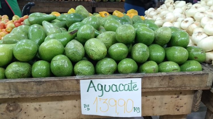 aguacate