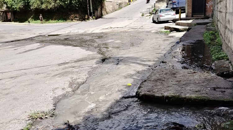 aguas negras El Trigo