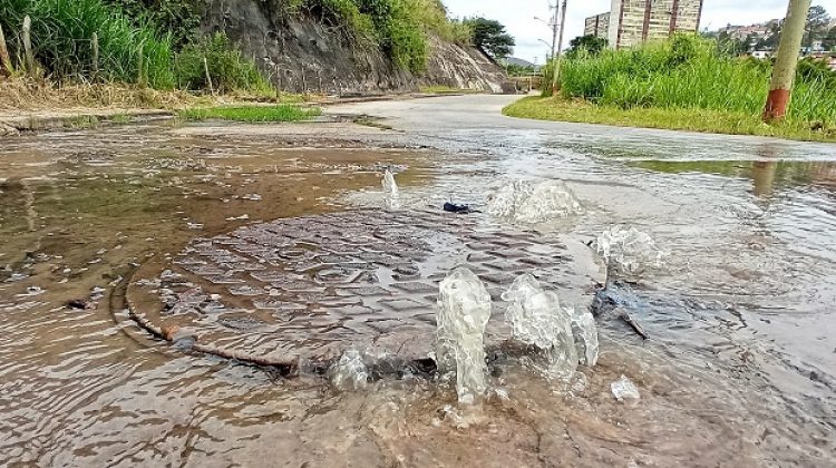 alto verde ,luis maizo