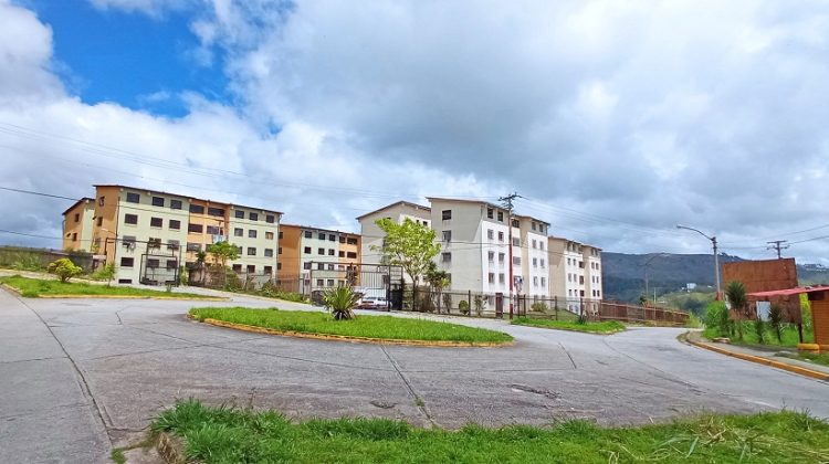 alto verde, luis maizo1