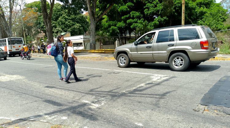 avenida el liceo