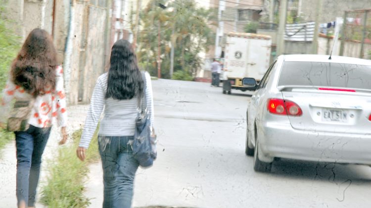 avenida paez el trigo