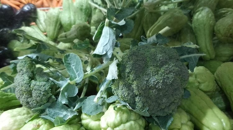 b1fe9d0d-6148-4d21-89dd-04ed7c8b3fbc