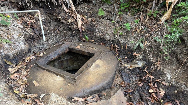 b2fe6714-6b67-48d8-a7dd-006e20c1e4cd