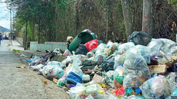 basura en el barbecho, luis maizo