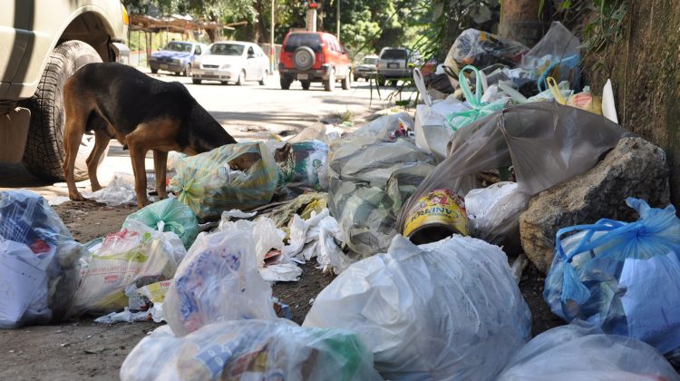 basura en el paso