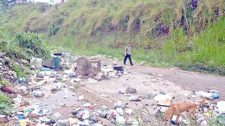 basura en la ladera