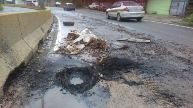 basura en la panamericana