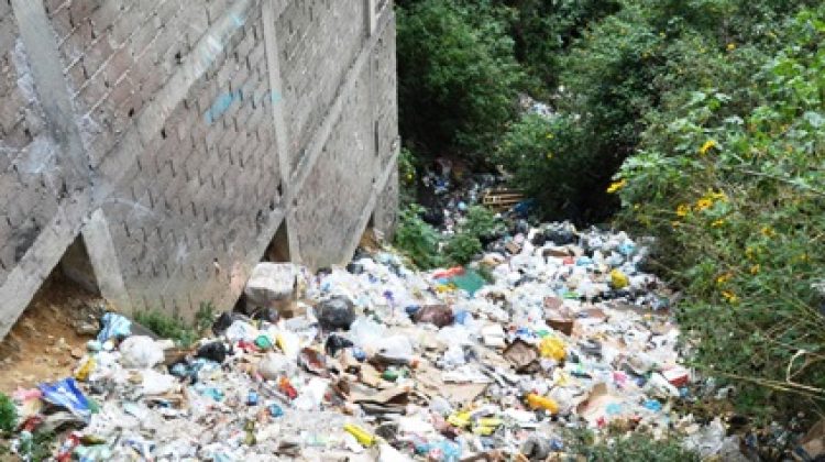 basura venezuela