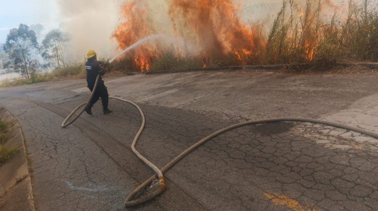 bd0118f1-271e-4980-8cb9-23fb45a9294f