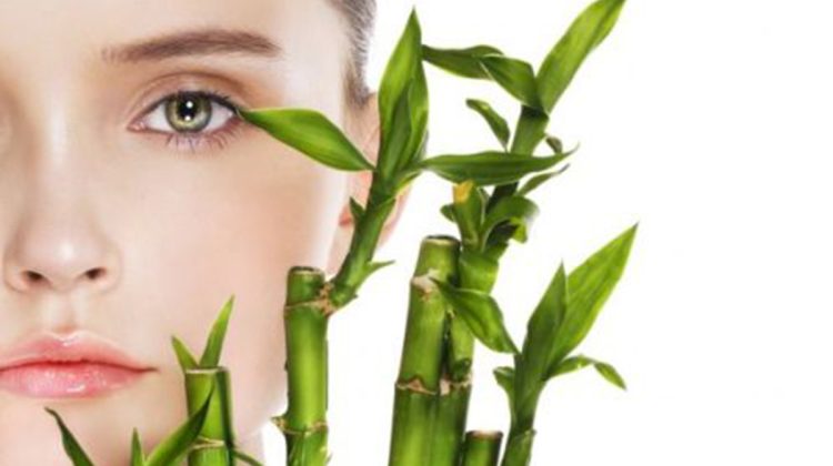 beneficios-del-bambu-piel