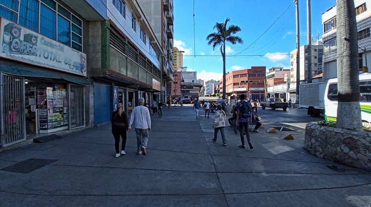 bermudez ,luis maizo