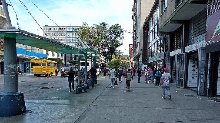 bermudez, luis maizo