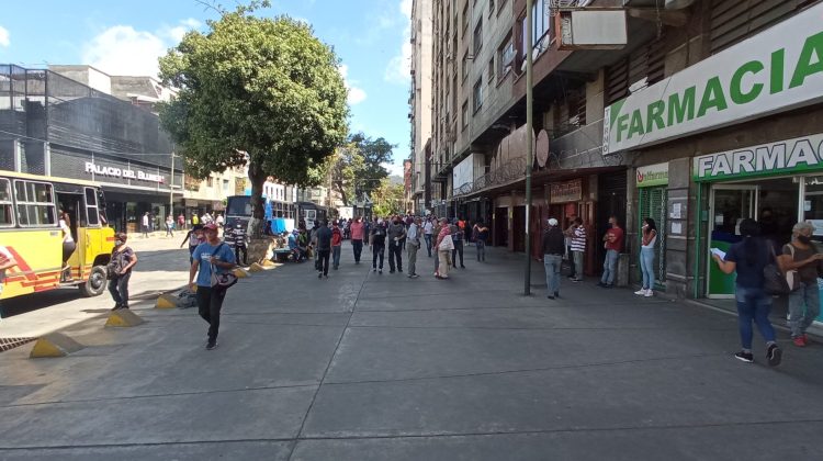 bermudez ,luis maizo