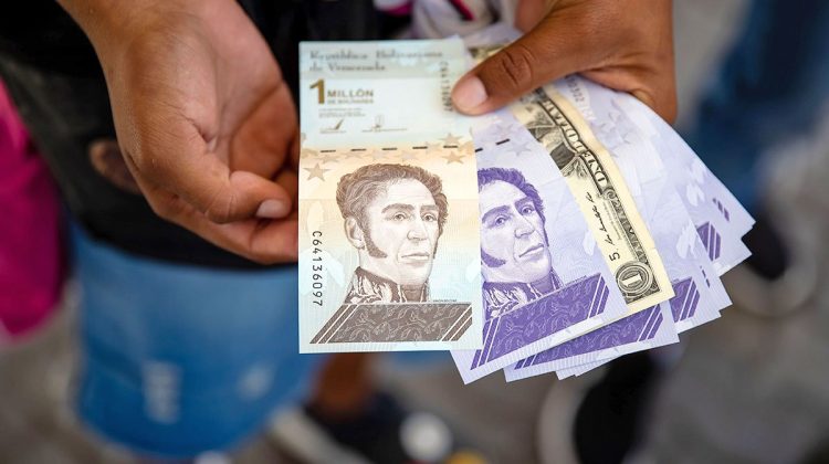 billetes-de-bolivares-y-dolares