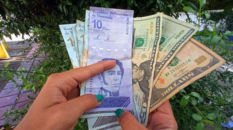 bolivares y dolores