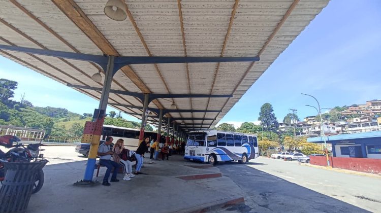 buses