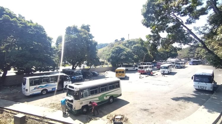 cada autobusero