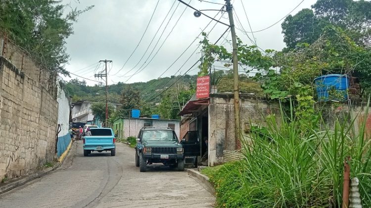 cafetal ,luis maizo