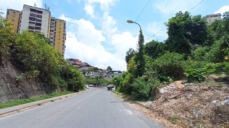 calle el trigo