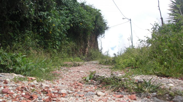 calle los marqueses