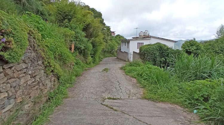 calle negro primera la gunetica, luis maizo