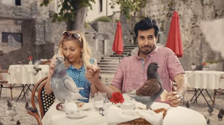 campaña-birds-img