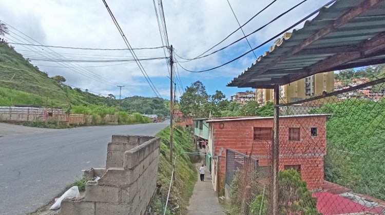 casique, luis maizo1