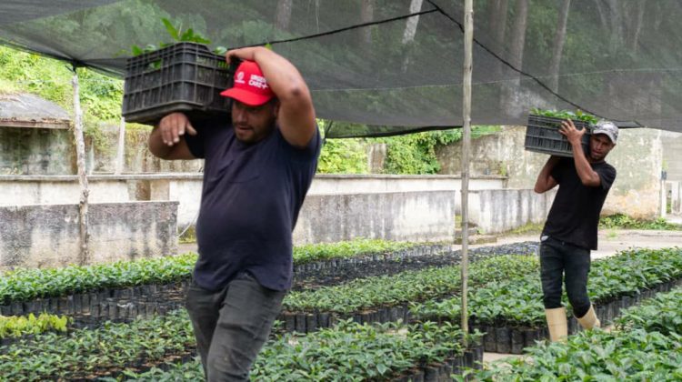 cd782a0a-ed7b-4a35-a254-319d51fd67e1