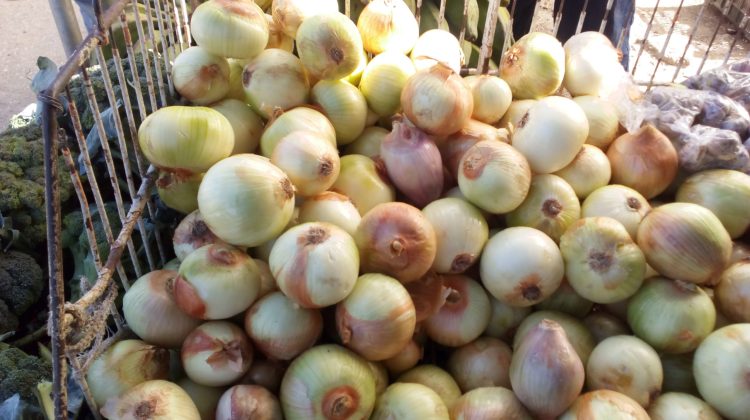 cebollas salud