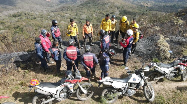 cf3d2e88-1f72-4fa4-83c7-5e84ebb19e46