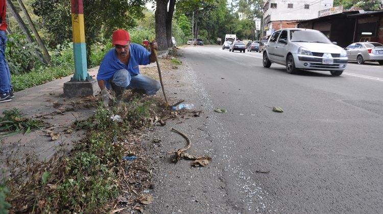 desmalezamiento en la av victor batista