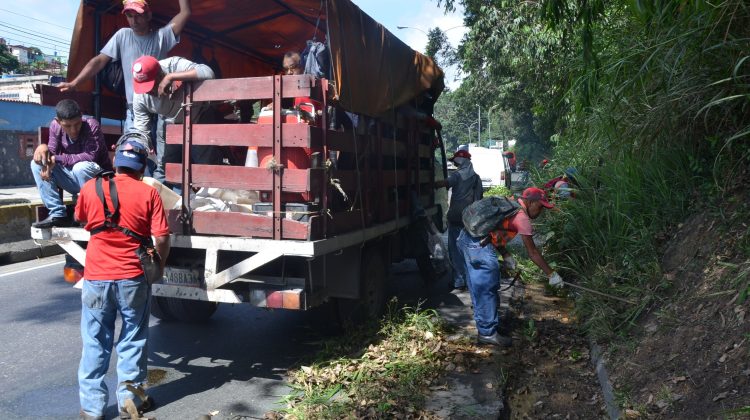 desmalezamiento