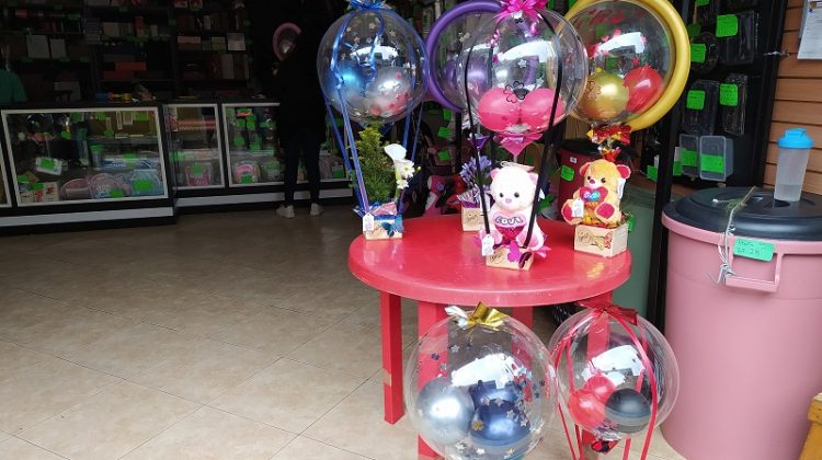 día de las madres (1)