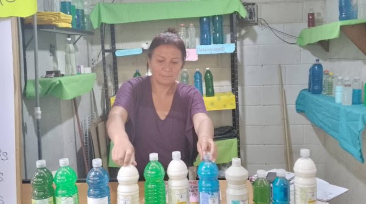 docente productos