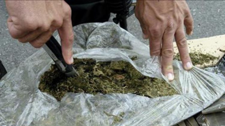 droga_marihuana