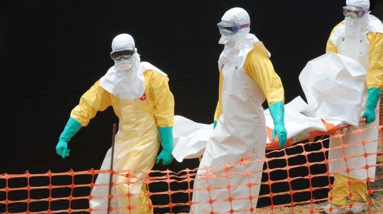 ebola-guinea-body-257ew