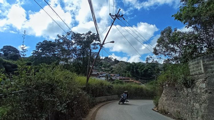 el alambique, luis maizo